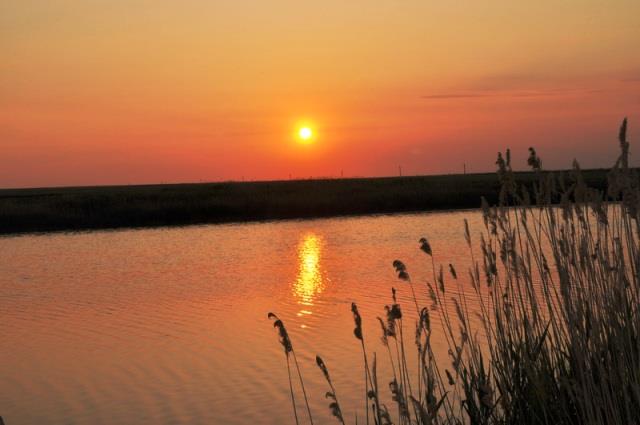 Doar ... NATURA - 4 - cnpc20-20ii20146resize1.jpg